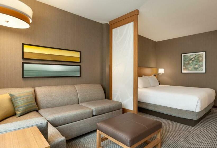 חדר סטנדרט עם מיטת קינג, Hyatt Place Washington Dc/georgetown/west End