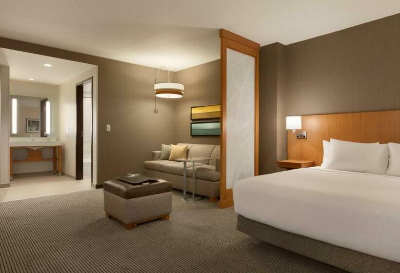 חדר סטנדרט עם מיטת קינג, Hyatt Place Washington Dc/georgetown/west End