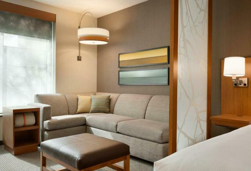חדר סטנדרט עם נוף, Hyatt Place Washington Dc/georgetown/west End