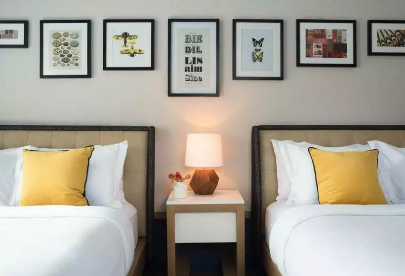 身障者適用スタンダードルーム, Kimpton Schofield Hotel, An Ihg