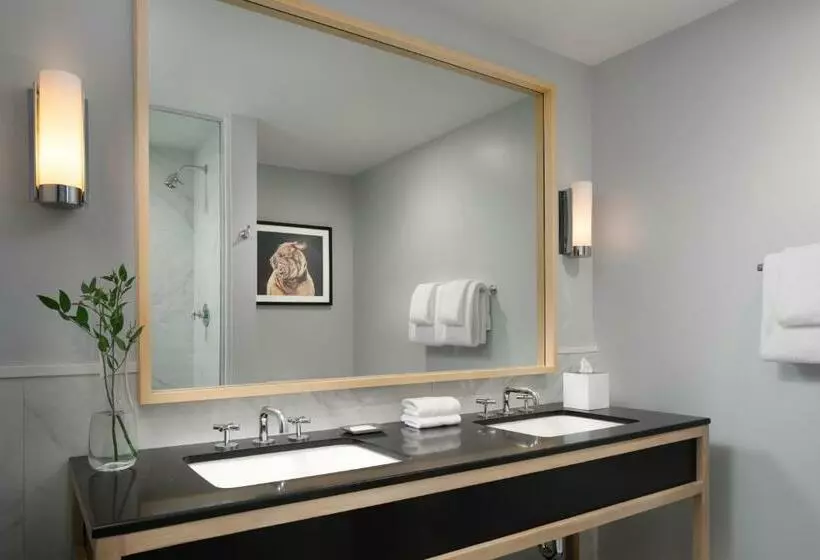 身障者適用スタンダードルーム, Kimpton Schofield Hotel, An Ihg