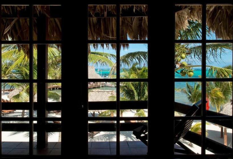 Mini Suite, Ramon's Village Resort