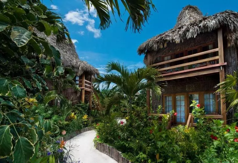 デラックスルーム, Ramon's Village Resort