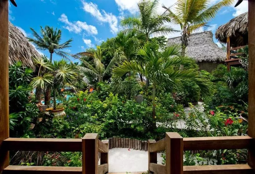 キングサイズベッドのデラックスルーム, Ramon's Village Resort