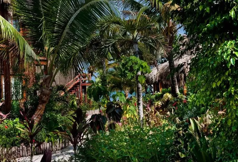 スタンダードルーム, Ramon's Village Resort