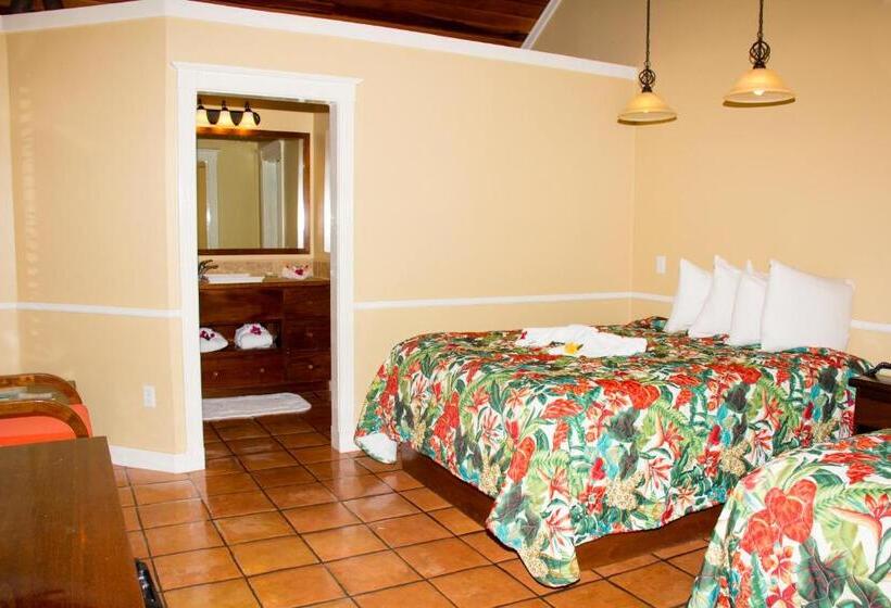 חדר סטנדרט נוף לבריכה, Ramon's Village Resort