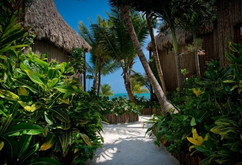 חדר סטנדרט עם מיטת קינג, Ramon's Village Resort