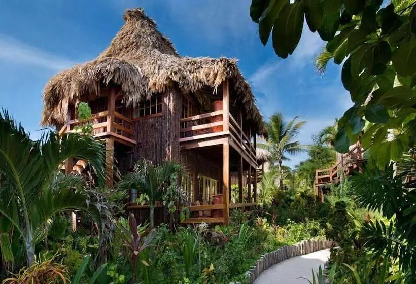 デラックススイート, Ramon's Village Resort