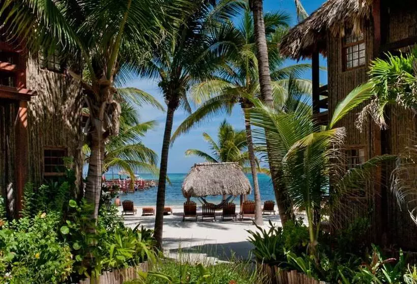 デラックススイート, Ramon's Village Resort
