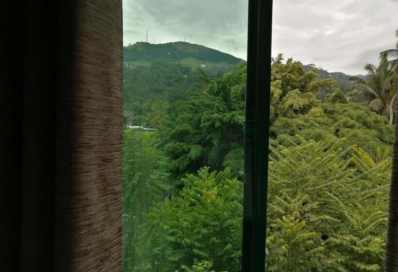 اتاق لوکس, The Royal Mall Kandy