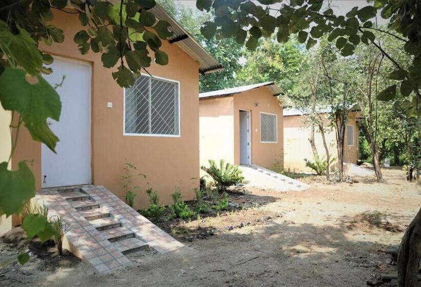 디럭스 스위트, Tiger N Woods Resort