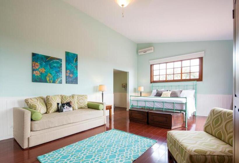 جناح مزوَّد بشرفة, Villa San Ignacio