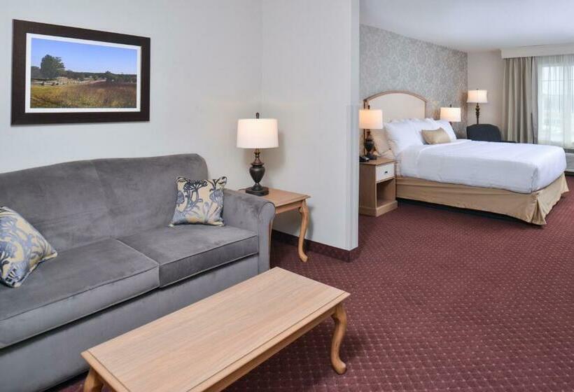 إستوديو قياسى سرير كينج, Appomattox Inn And Suites