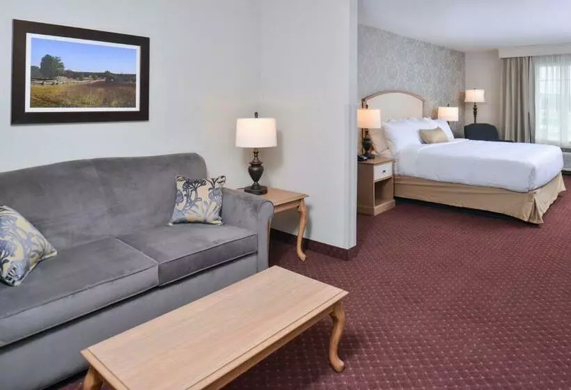 キングサイドベッドのスタンダードワンルーム, Appomattox Inn And Suites