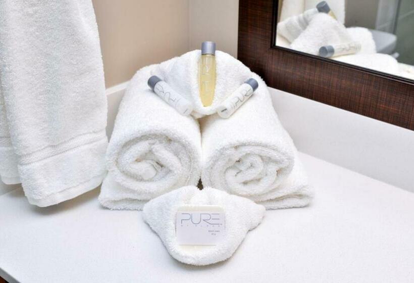 스탠다드 룸, Appomattox Inn And Suites