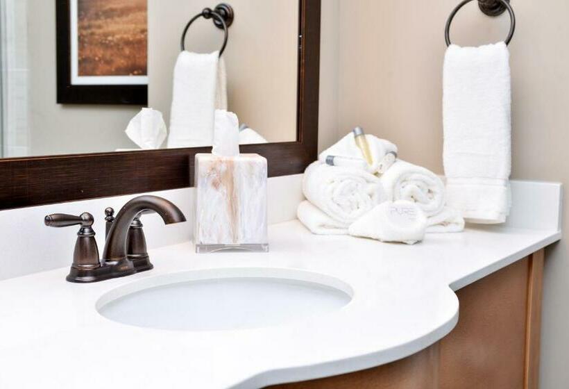 장애인을 위한 킹사이즈 침대 스탠다드 룸, Appomattox Inn And Suites