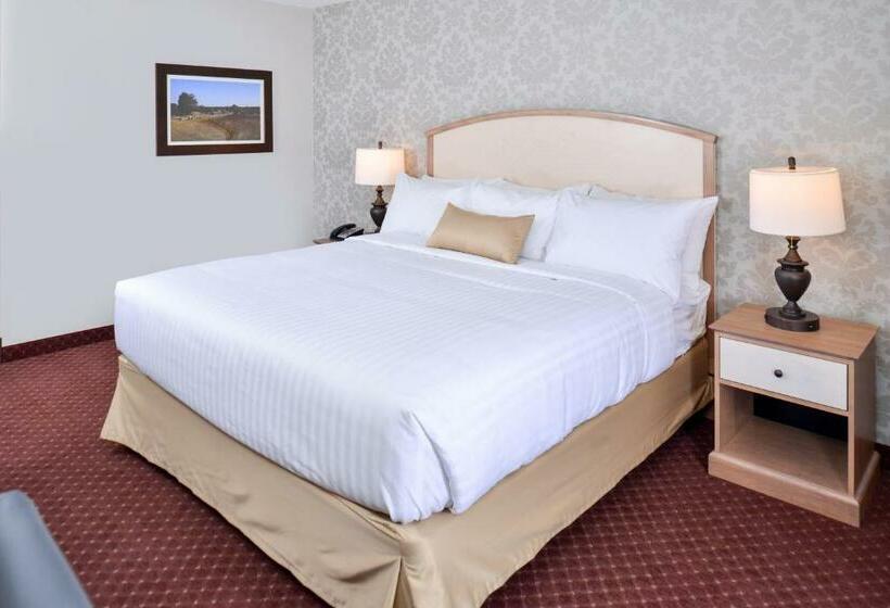 غرفة قياسية سرير كينج لذوى الإحتياجات الخاصة, Appomattox Inn And Suites