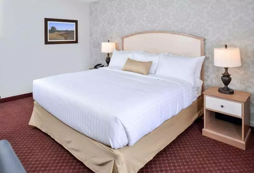 身障者適用キングサイズベッドルーム, Appomattox Inn And Suites