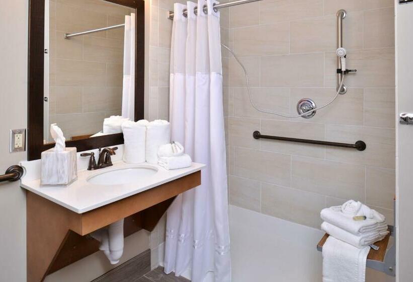 غرفة قياسية سرير كينج لذوى الإحتياجات الخاصة, Appomattox Inn And Suites