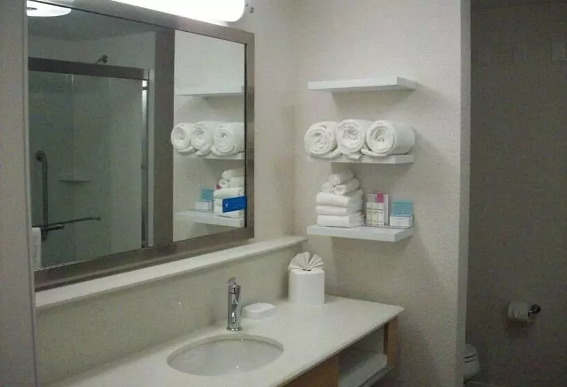 身障者適用キングサイズベッドルーム, Hampton Inn Suffolk