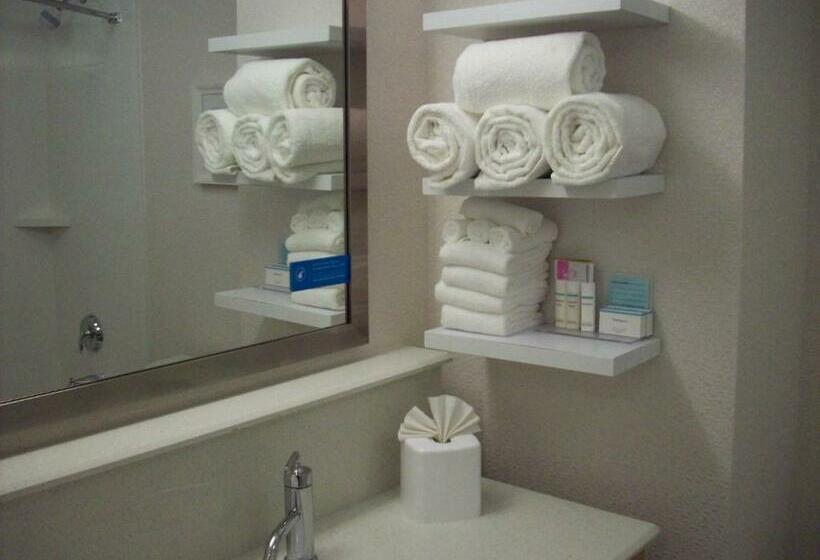 Стандартный Номер Кровать Кинг, Hampton Inn Suffolk