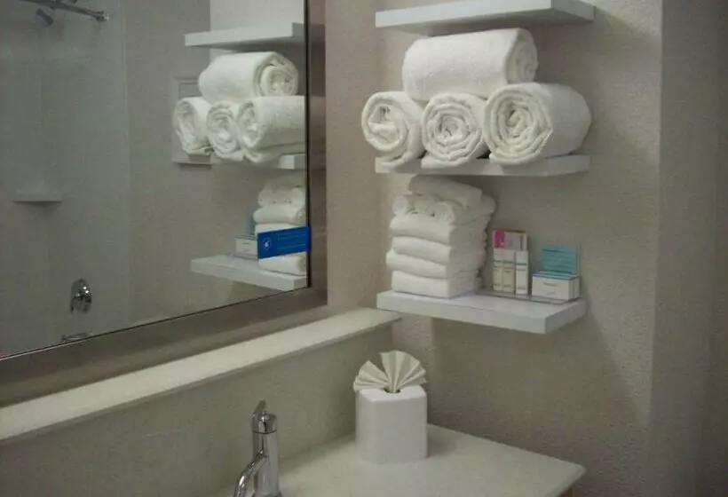 キングサイズベッドのスタンダードルーム, Hampton Inn Suffolk