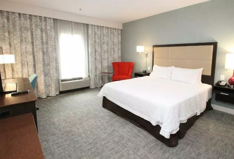 身障者適用キングサイズベッドルーム, Hampton Inn Suffolk