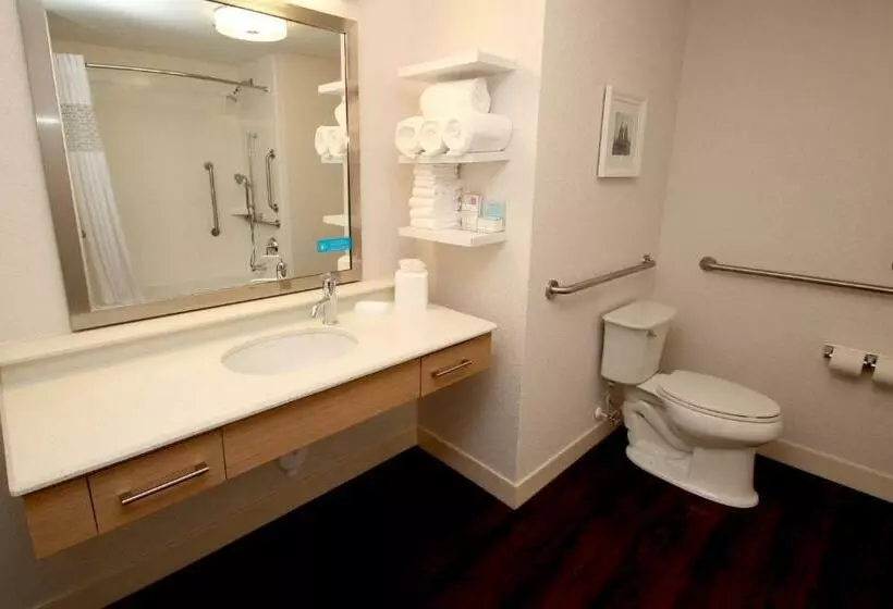 身障者適用キングサイズベッドルーム, Hampton Inn Suffolk
