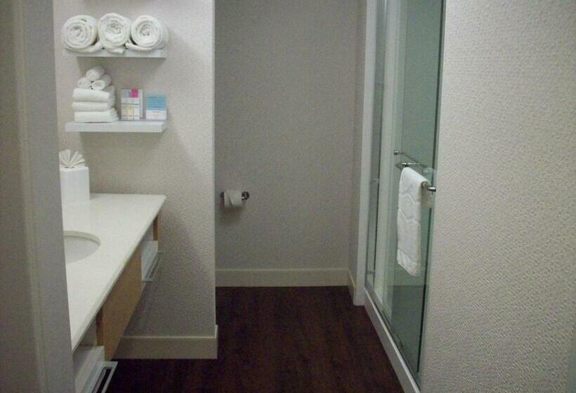 Номер Стандарт Кровать Кинг Адаптированный для Инвалидов, Hampton Inn Suffolk