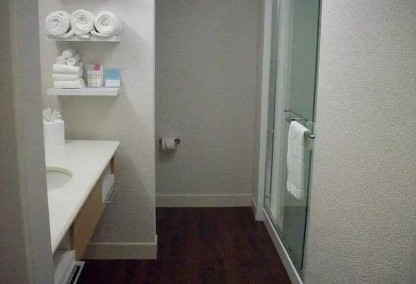 身障者適用キングサイズベッドルーム, Hampton Inn Suffolk