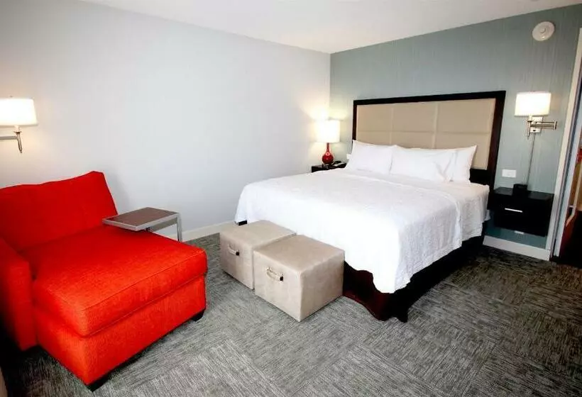 身障者適用キングサイズベッドルーム, Hampton Inn Suffolk