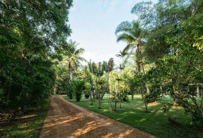 Enrumsvilla med swimming pool, Nisala Arana Boutique