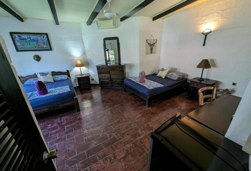 スタンダードルーム, Spirit Of Jungle Lodge