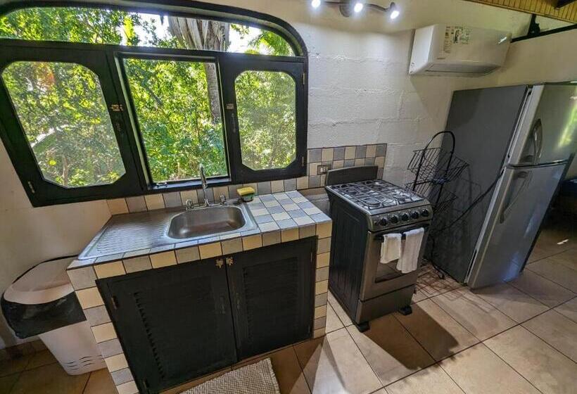 Бунгало Deluxe, Spirit Of Jungle Lodge