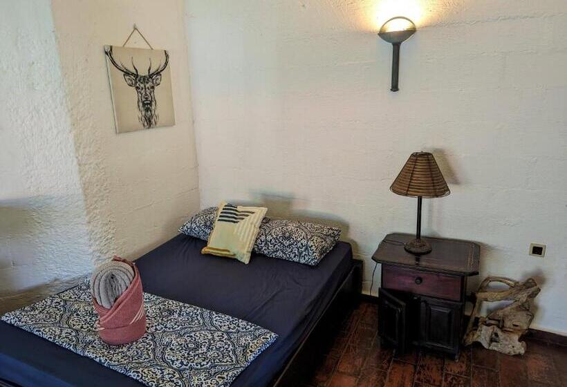 スタンダードルーム, Spirit Of Jungle Lodge