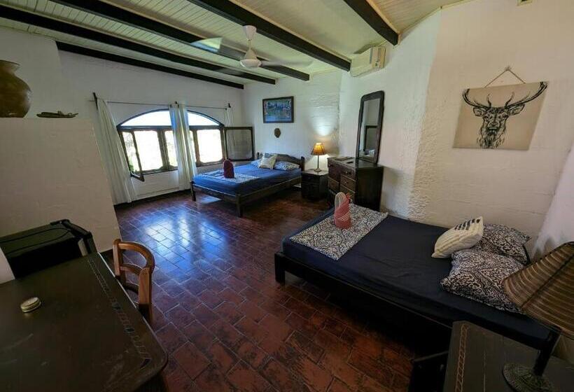 标准间, Spirit Of Jungle Lodge