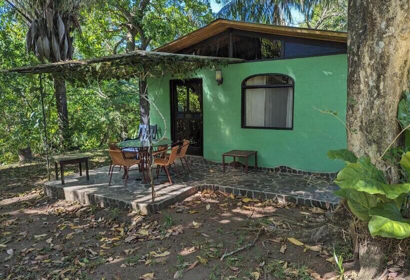 Бунгало Deluxe, Spirit Of Jungle Lodge