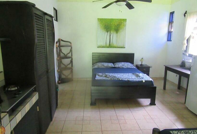 1ベッドルームアパートメント, Spirit Of Jungle Lodge