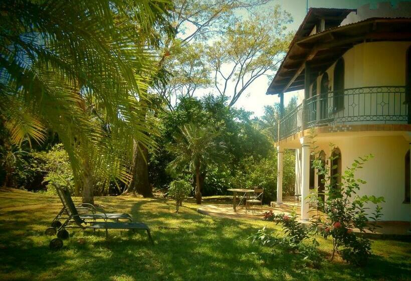 1ベッドルームアパートメント, Spirit Of Jungle Lodge