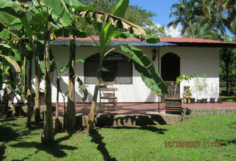 Номер Стандарт, Spirit Of Jungle Lodge