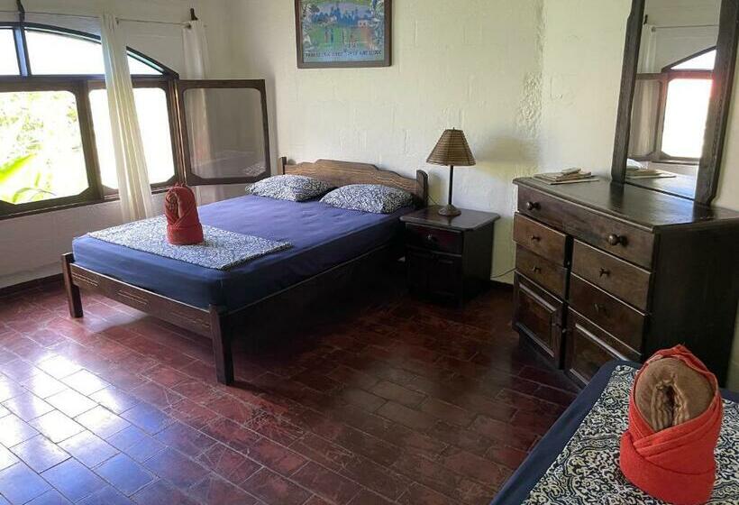 スタンダードルーム, Spirit Of Jungle Lodge