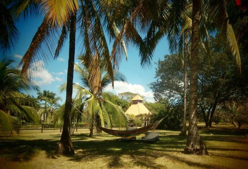 1ベッドルームのデラックスアパートメント, Spirit Of Jungle Lodge