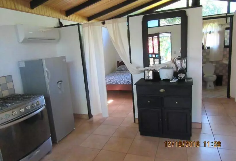 بانگلوی لوکس, Spirit Of Jungle Lodge