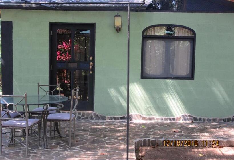 デラックスバンガロー, Spirit Of Jungle Lodge