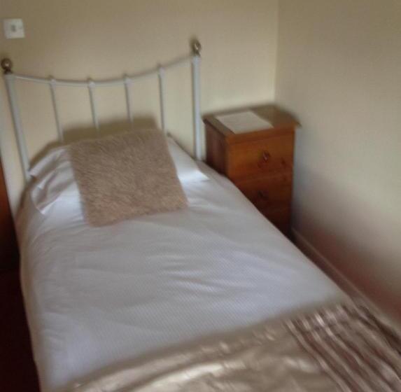 经典单人间, The Glan Yr Afon Inn