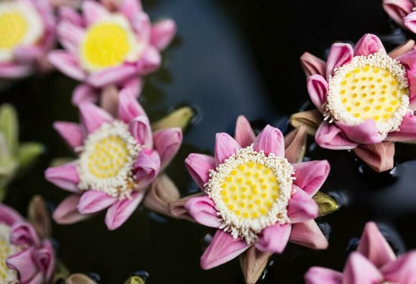 발코니가 있는 프리미엄 룸, Khmer Paradise Villa