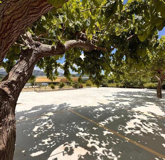 带观景的标准间, Odyssion