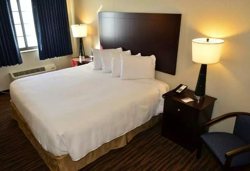 身障者適用キングサイズベッドルーム, Cobblestone Inn & Suites  Holstein