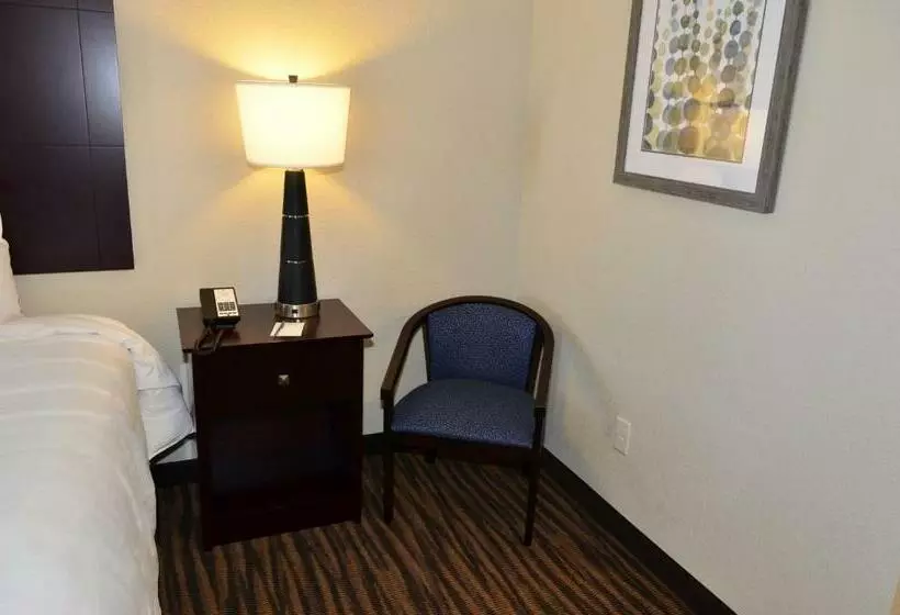 身障者適用キングサイズベッドルーム, Cobblestone Inn & Suites  Holstein