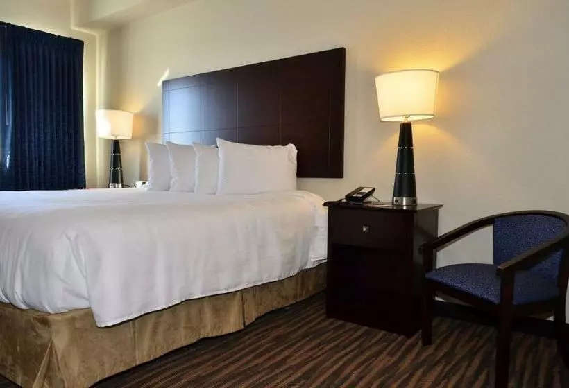 身障者適用キングサイズベッドルーム, Cobblestone Inn & Suites  Holstein